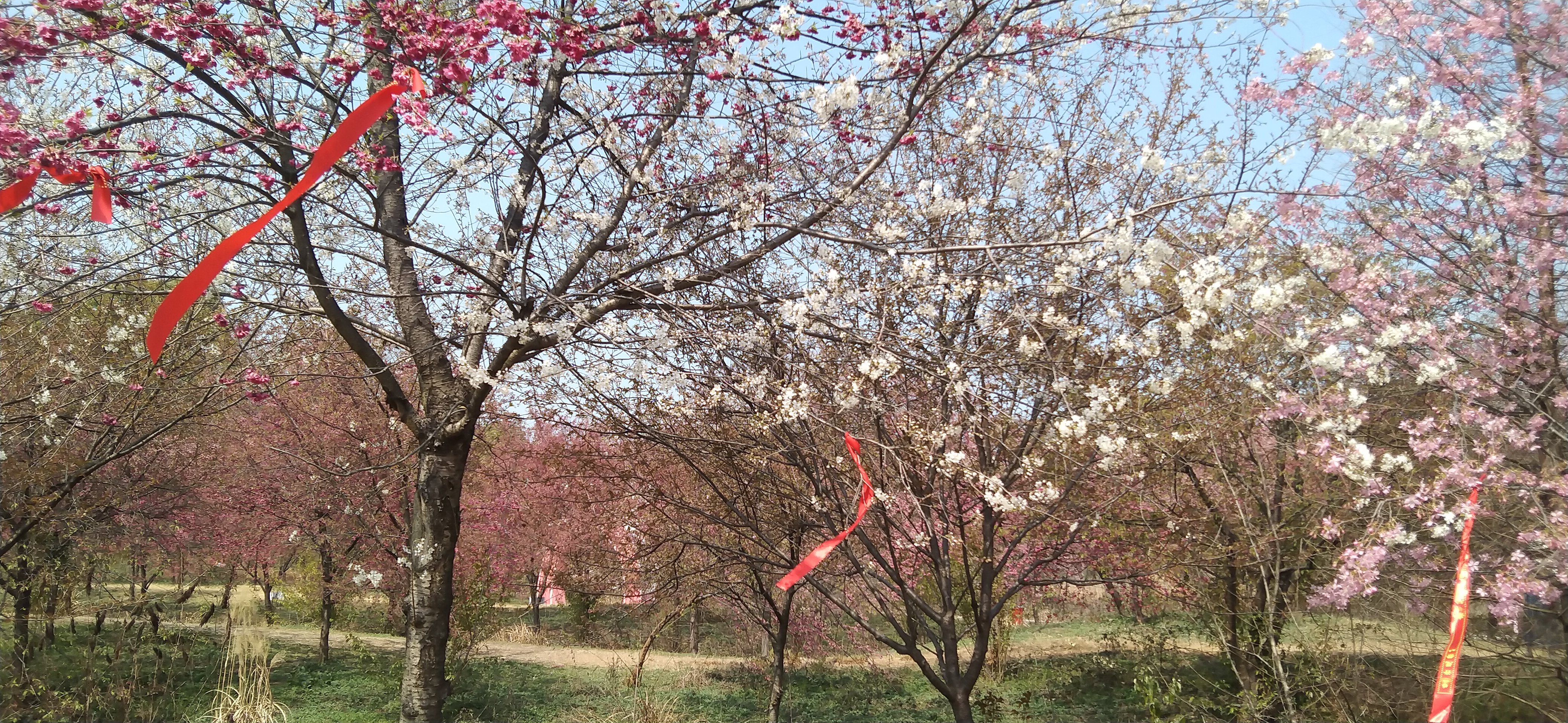 IMG_20230306_115341.jpg