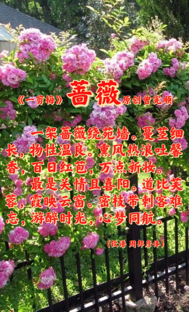 MTXX_MH20230512_212950016.jpg